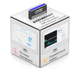 Готовые решения для речевой аналитики от STELBERRY-RT
